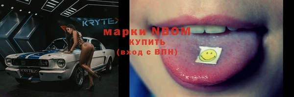 индика Ростов