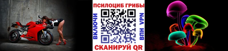 закладка  кракен маркетплейс  Псилоцибиновые грибы Psilocybine cubensis  Кандалакша 