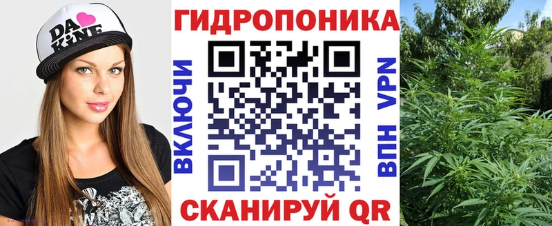 Каннабис гибрид Кандалакша